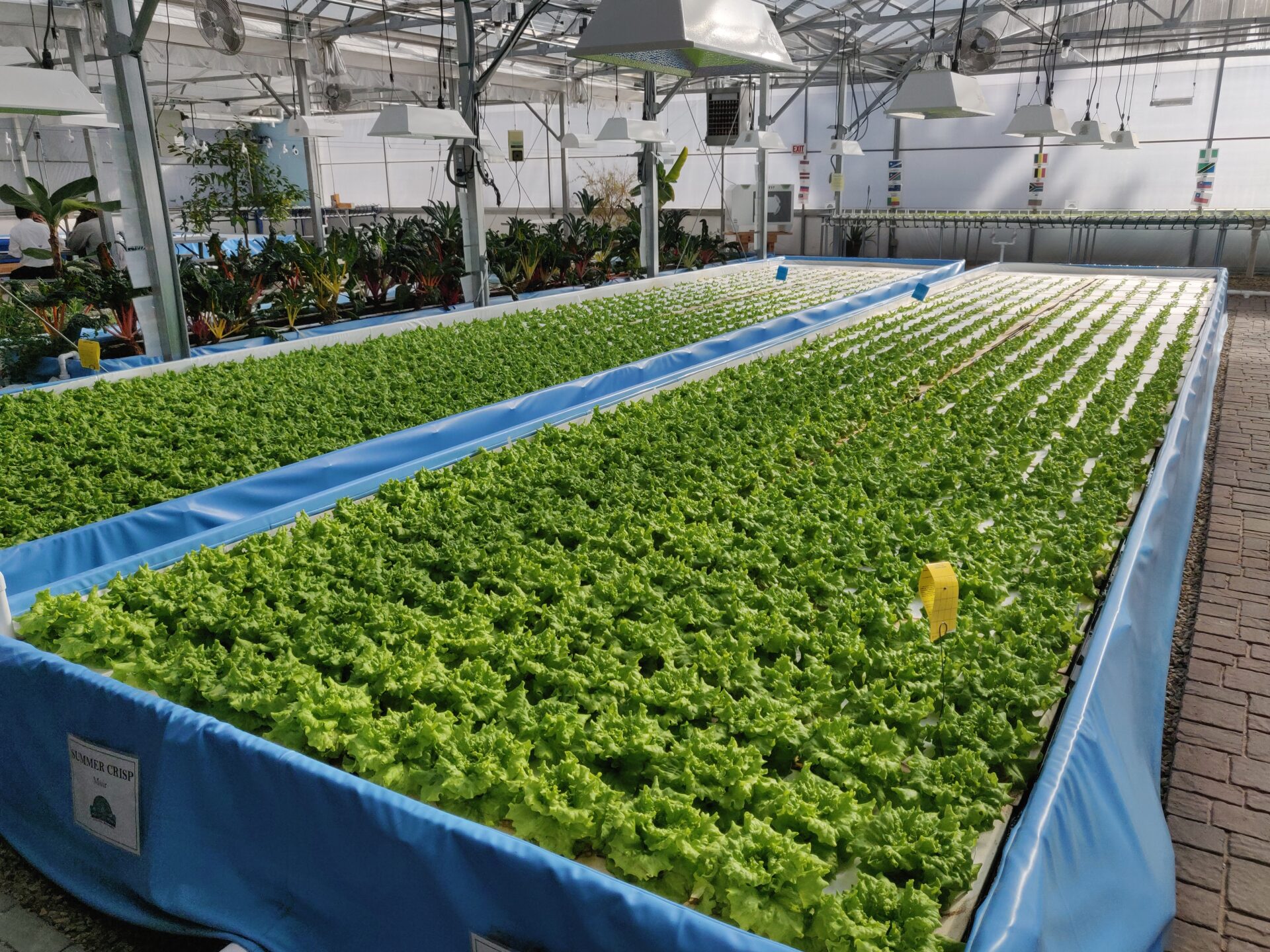 Top 10 Best Hydroponic Systems 2019 Reviews & Guide, Hydroponics HD  wallpaper | Pxfuel